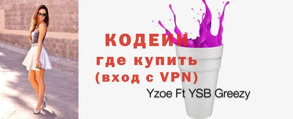 спиды Пестово