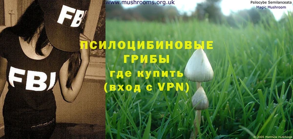 спиды Пестово